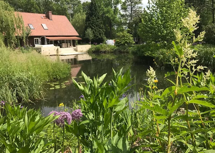 Direkt Am Wasser * Burg (Spreewald)