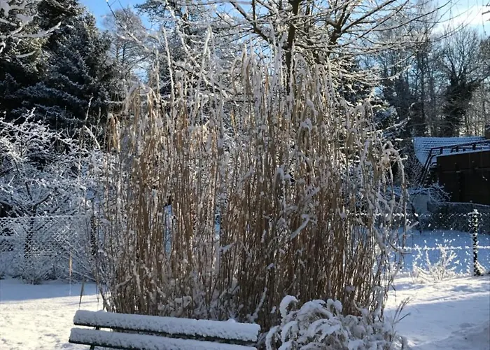 Apartament Direkt Am Wasser